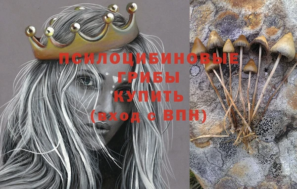 гашик Балабаново