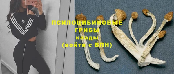 гашик Балабаново